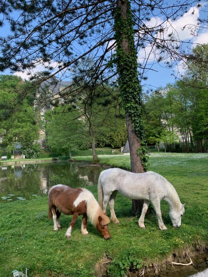 Gite Familial Chateau La Roche Racan Saint-Paterne-Racan エクステリア 写真